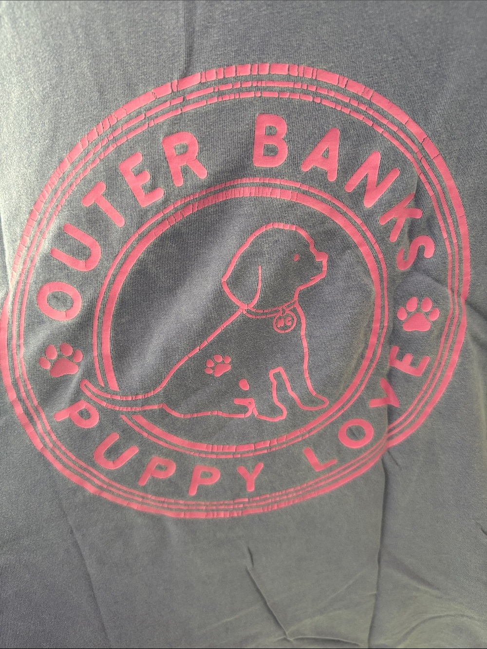 Comfort Colors Outer Banks Puppy Love Comfort Colors T-Shirt Purple & Pink Small